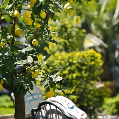 The Verhaegen Bed and Breakfast 5*