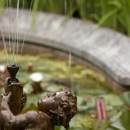 Couette-café The Verhaegen